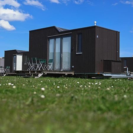 Tiny House Nature 8 Innenlage - Green Tiny Village Harlesiel Carolinensiel Eksteriør bilde
